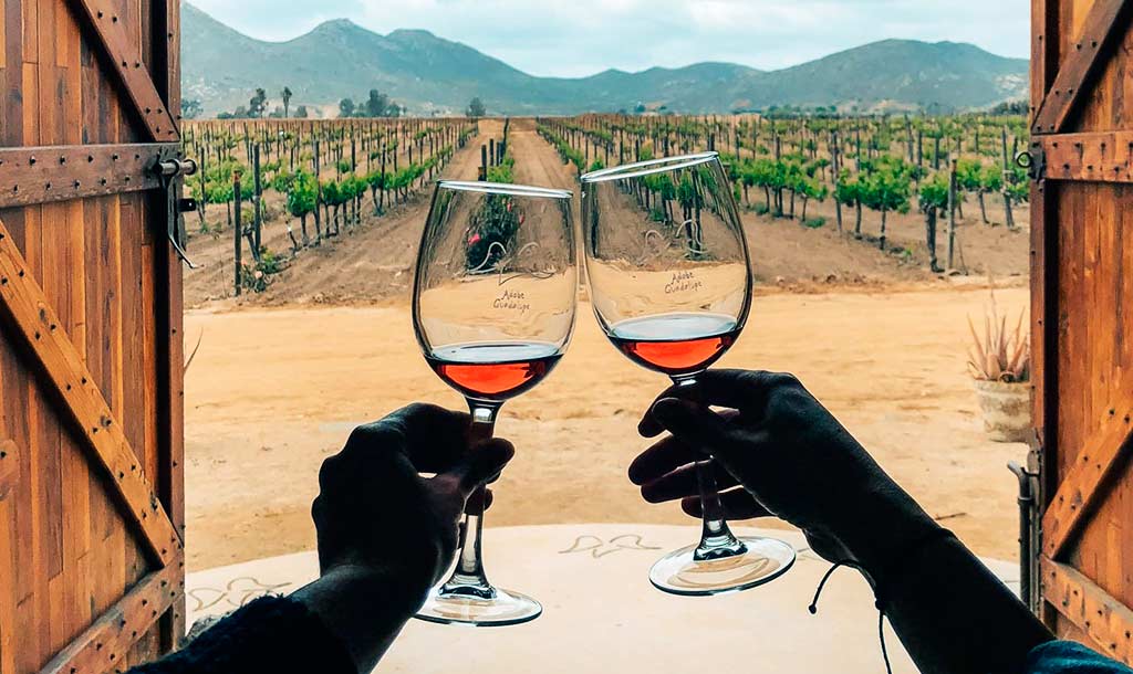 Valle de Guadalupe